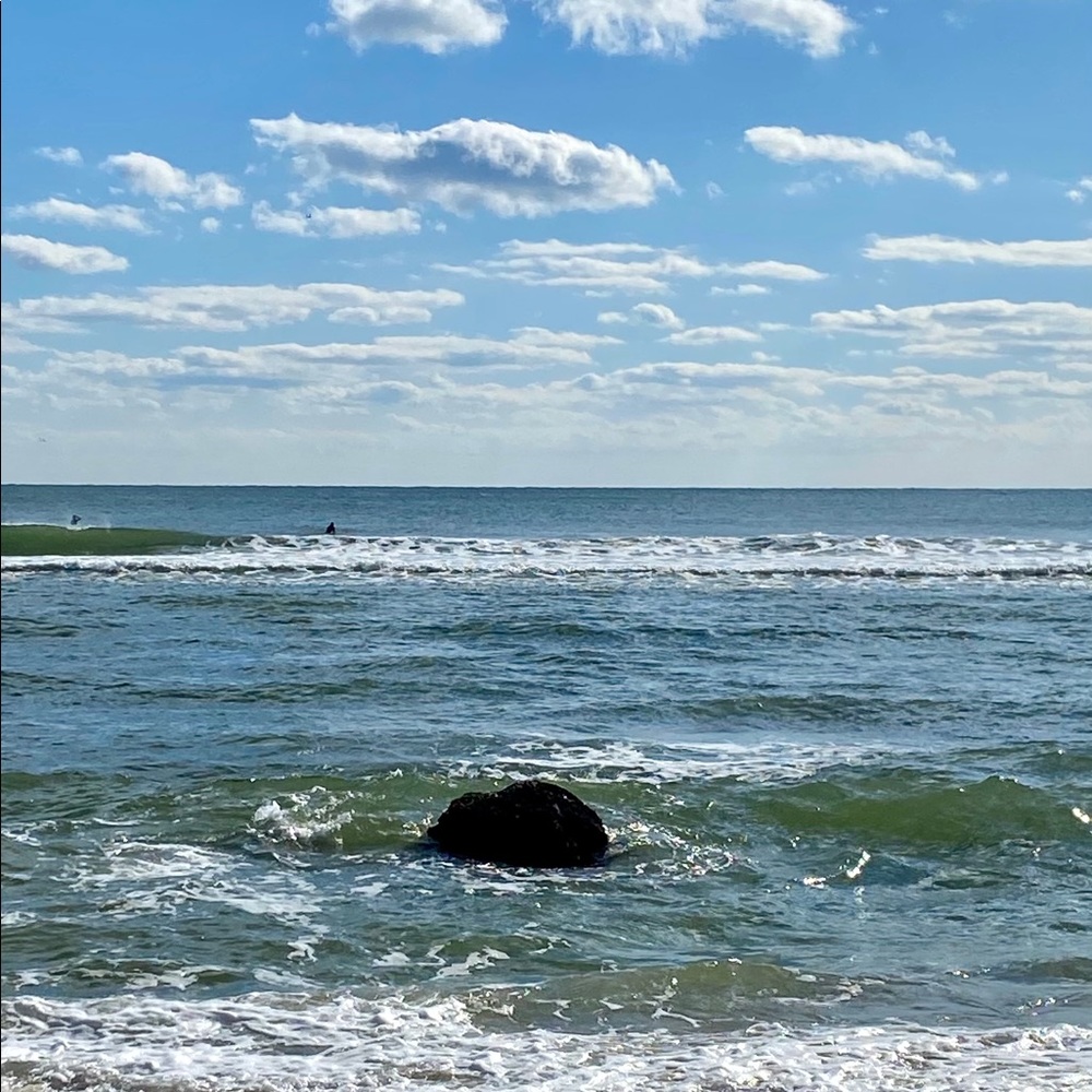 Meet your Posher, Alana